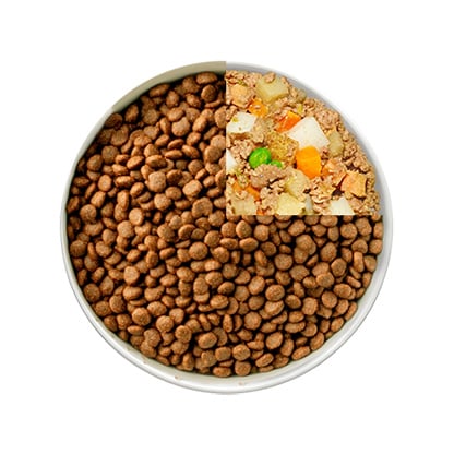 transition puppy to new food